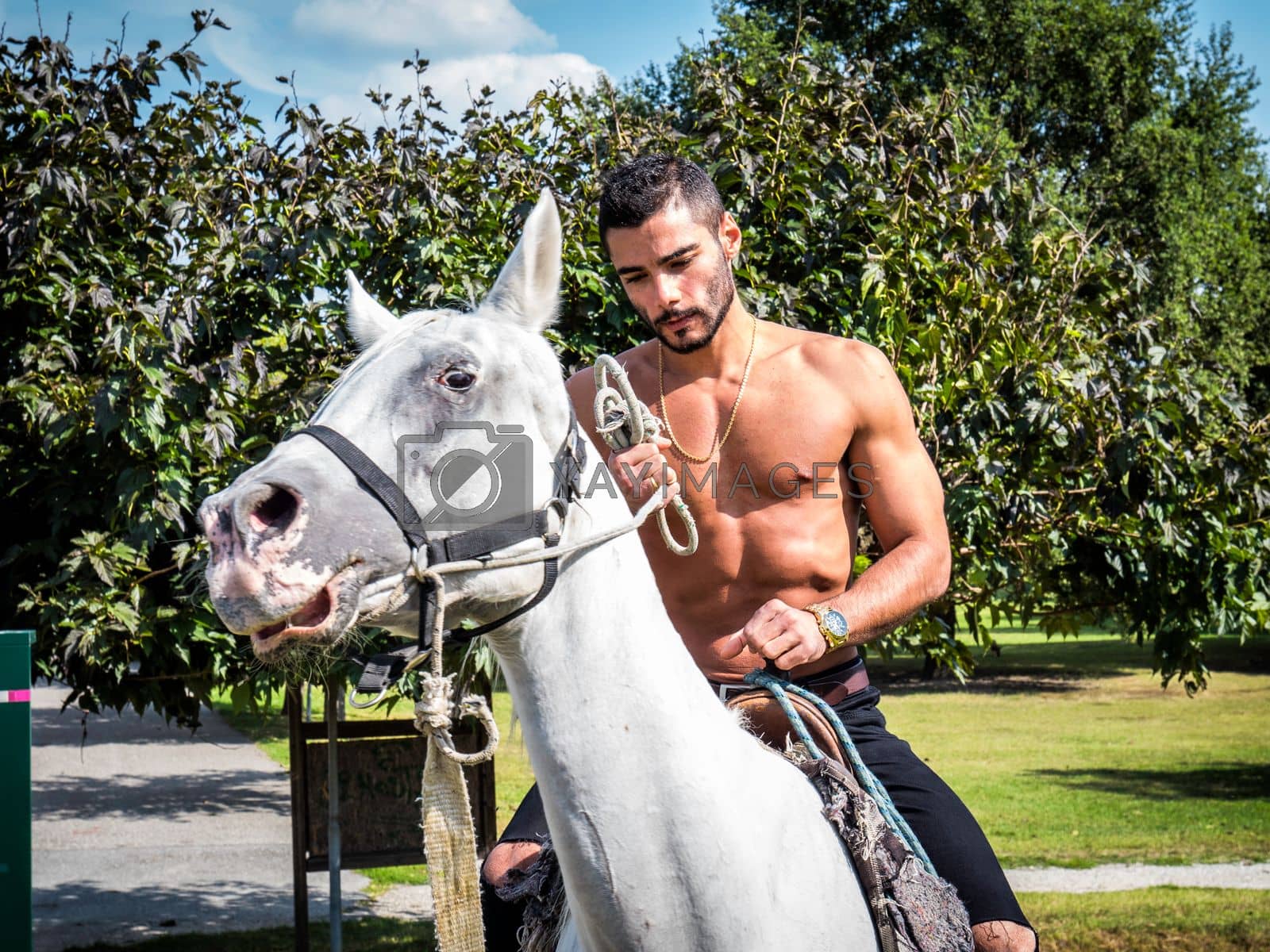 Royalty free image of Sexual shirtless man on horse by artofphoto