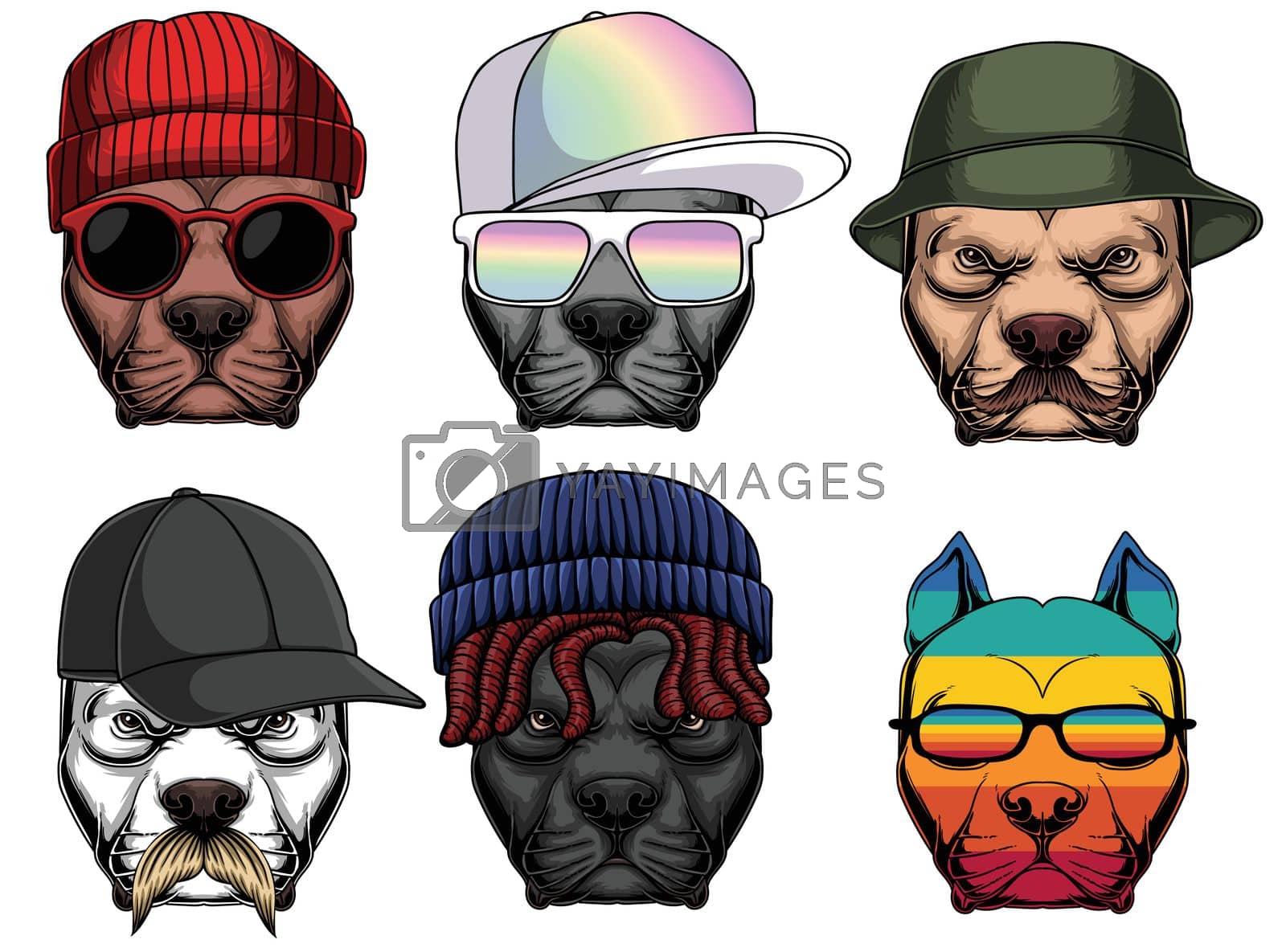 Royalty free image of Pitbull dog fashion set collection by andypp