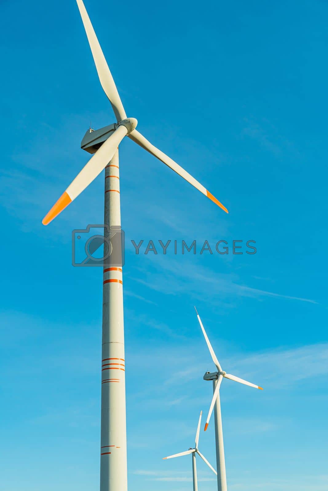 Royalty free image of Green energy on wind turbines and wind turbines. Alternative energy sources and renewable energy sources. Power generation and generators of power plants.Wind farm and wind,environmental conservation by YevgeniySam