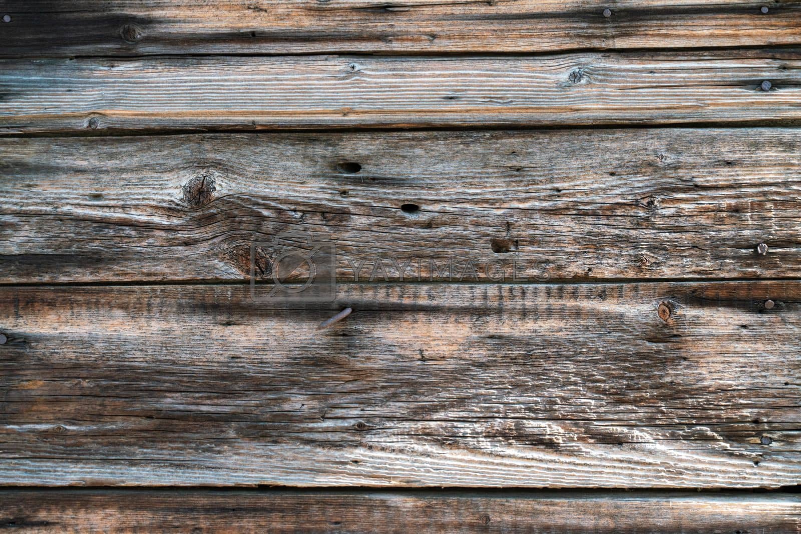 Royalty free image of Texture of old wood. Background image. by Matiunina