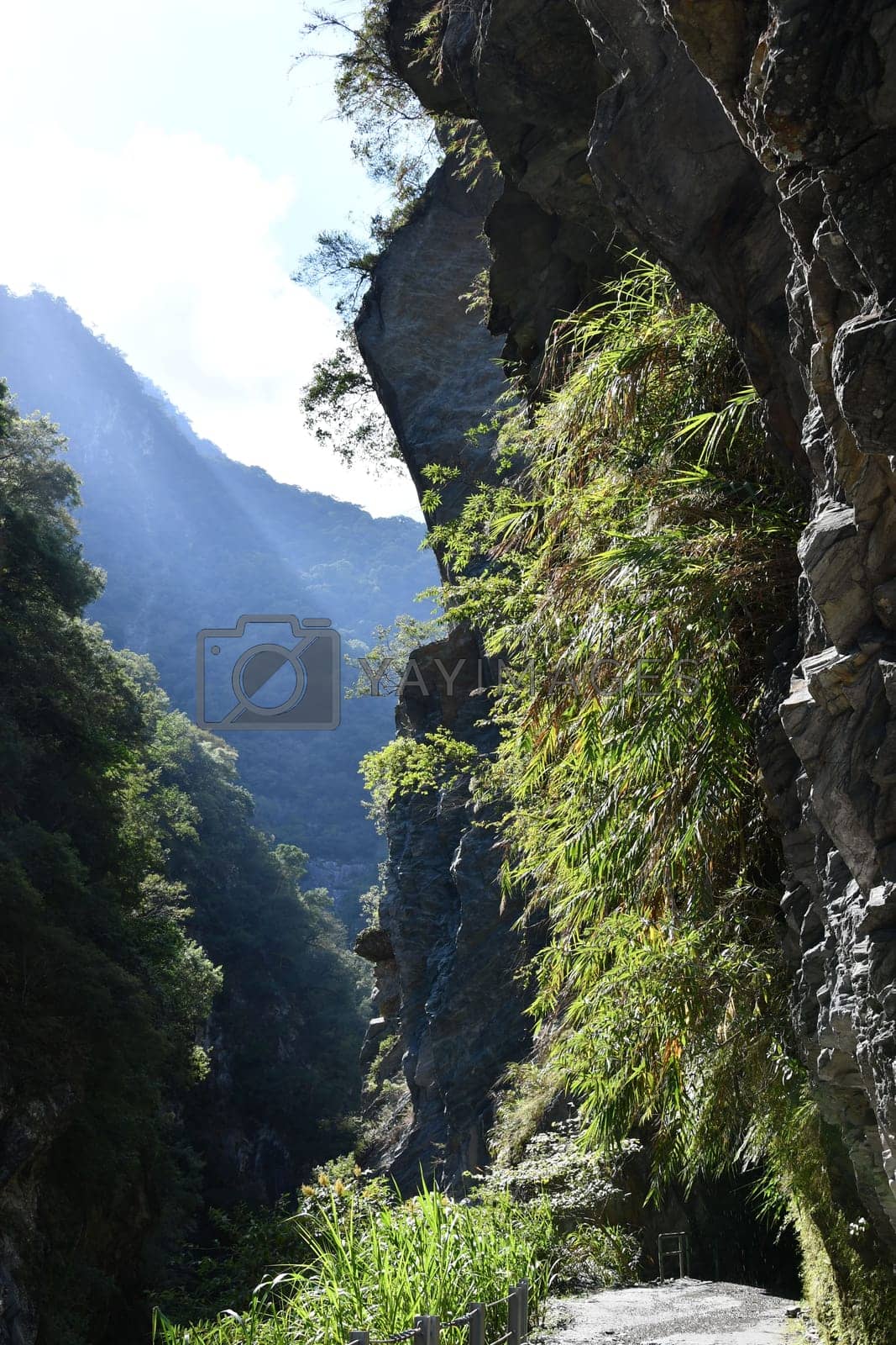 Royalty free image of Vertical shot of a narrow path at the ravine and the hills in the background in Taiwan by rherrmannde