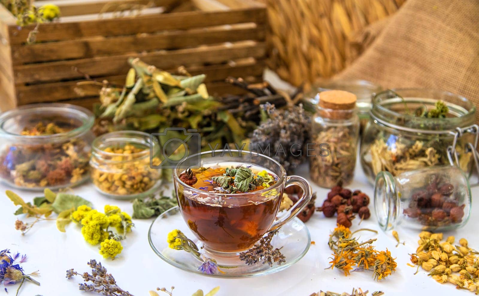 Royalty free image of Herbal tea with medicinal herbs and flowers. Selective focus. by yanadjana