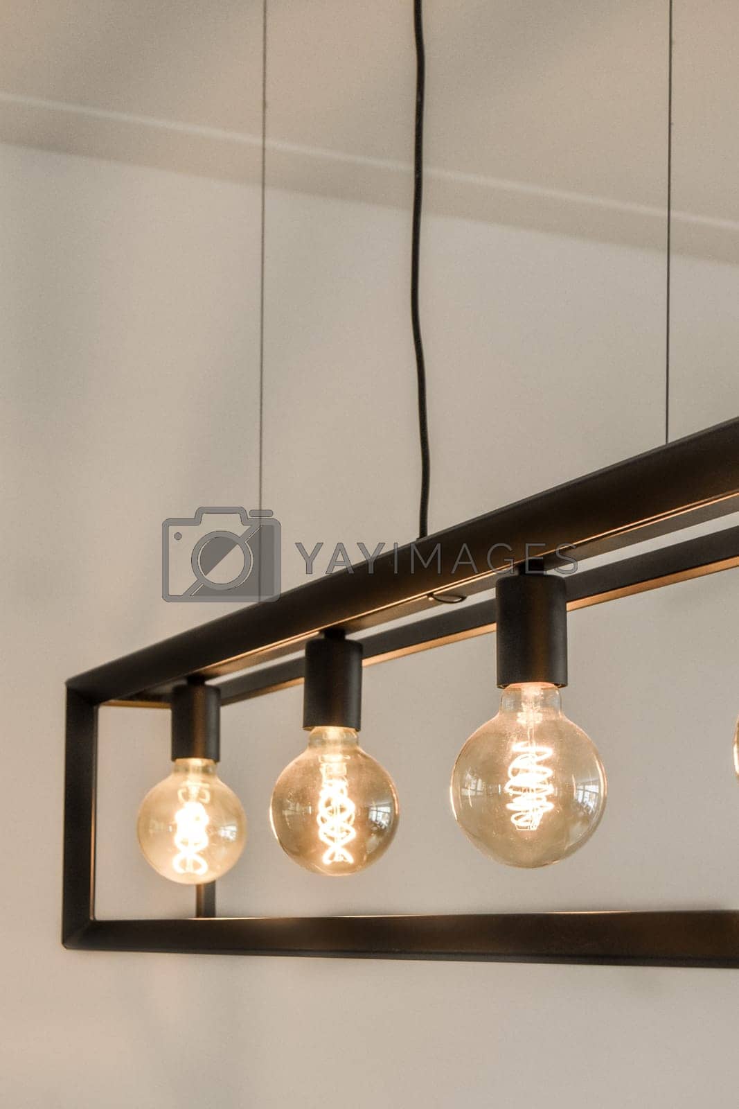Royalty free image of the cesto collection of edison lights by casamedia