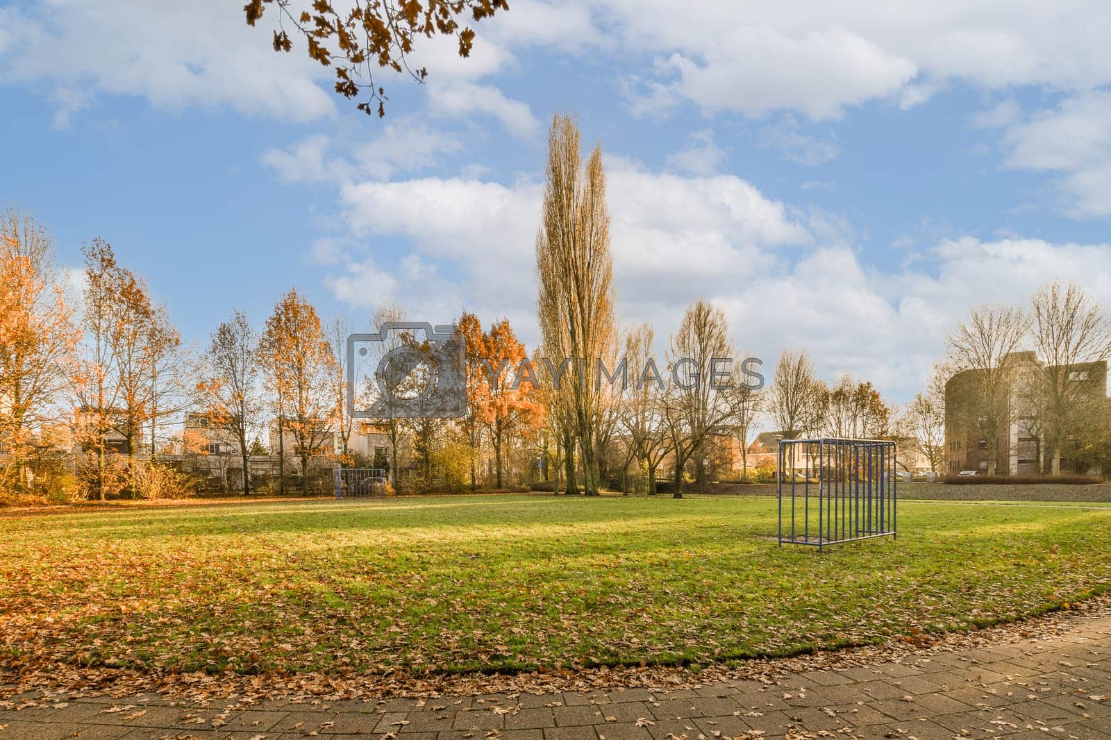 Royalty free image of a park with a soccer field and trees by casamedia