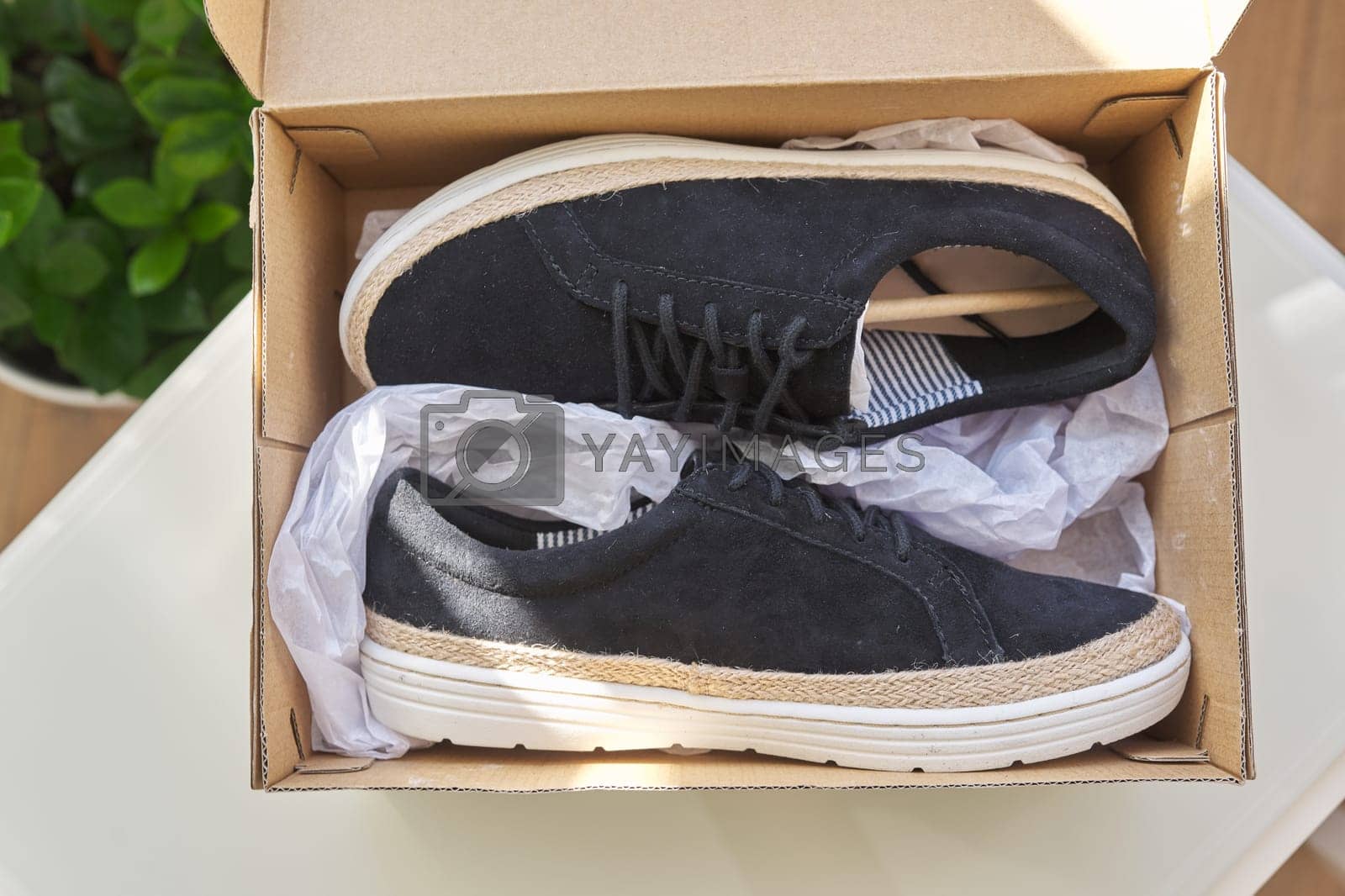 Royalty free image of New womens black natural suede sneakers in box at home by VH-studio