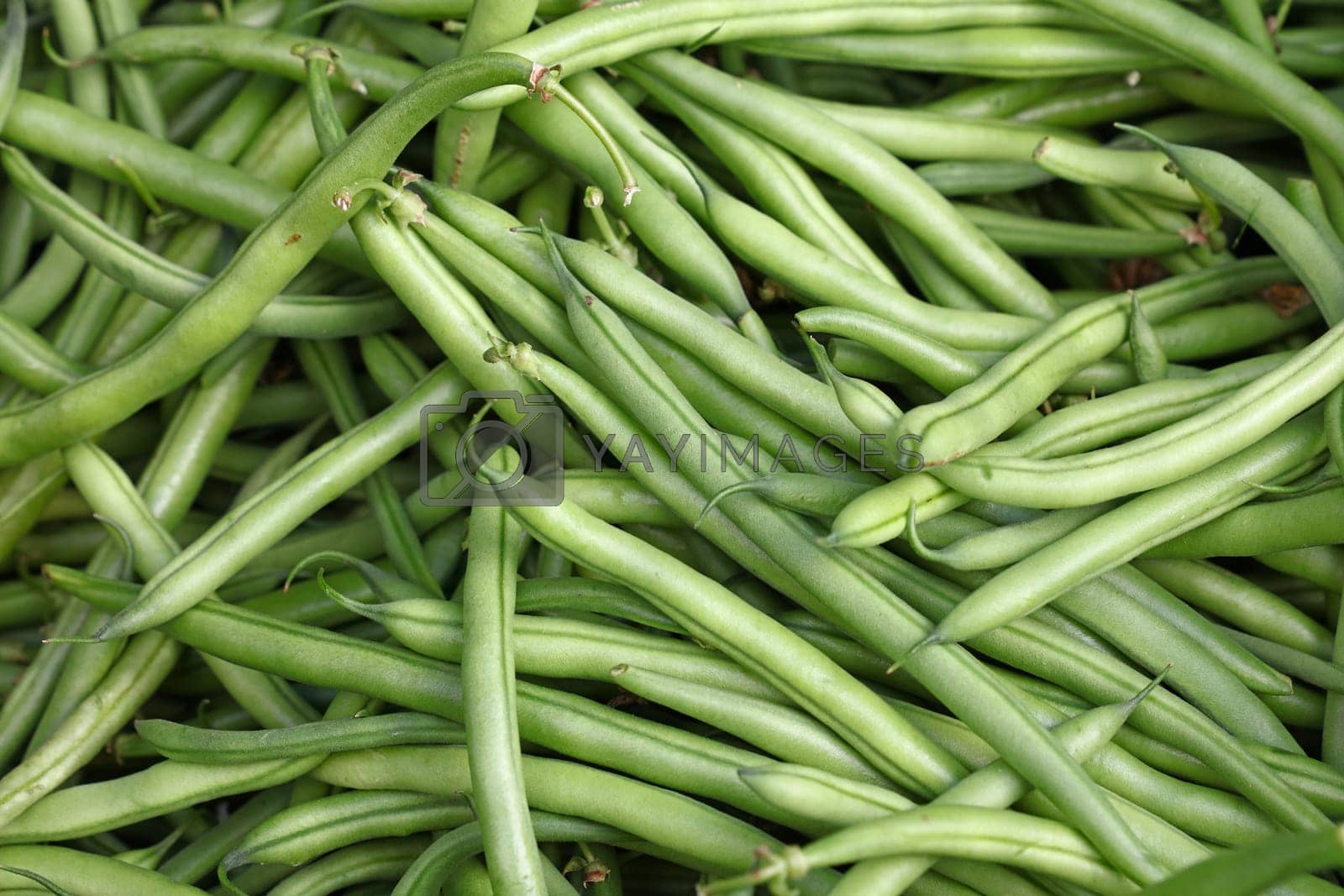 Royalty free image of Heap of fresh green beans on market stall by BreakingTheWalls