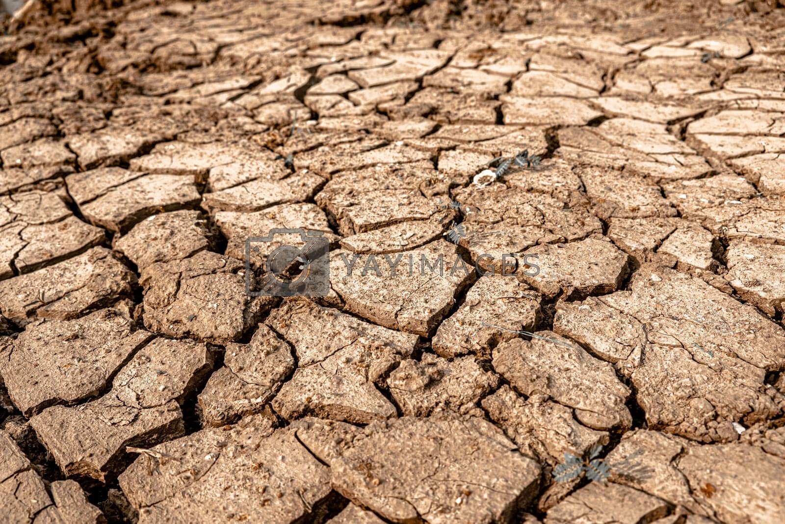 Royalty free image of Dry and cracked land, dry due to lack of rain by Petrichor