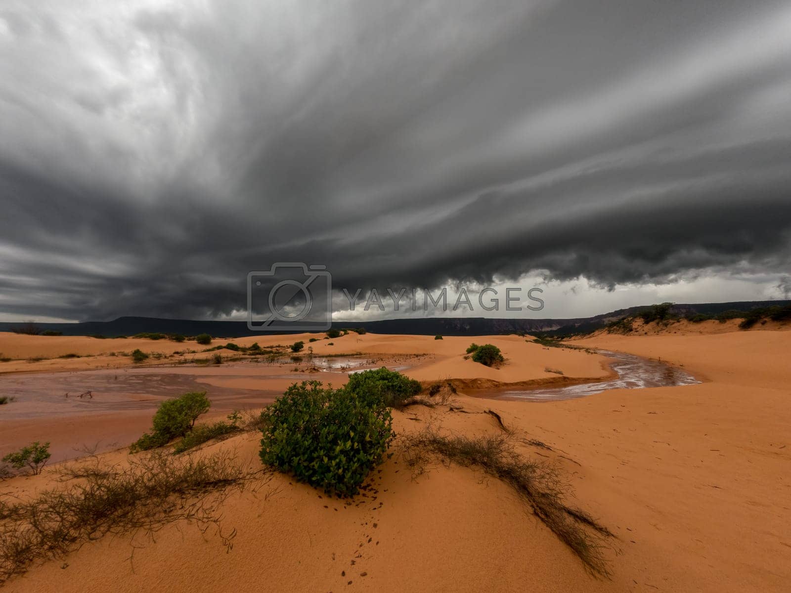 Royalty free image of Spectacular storm over Jalapao sand dunes by FerradalFCG