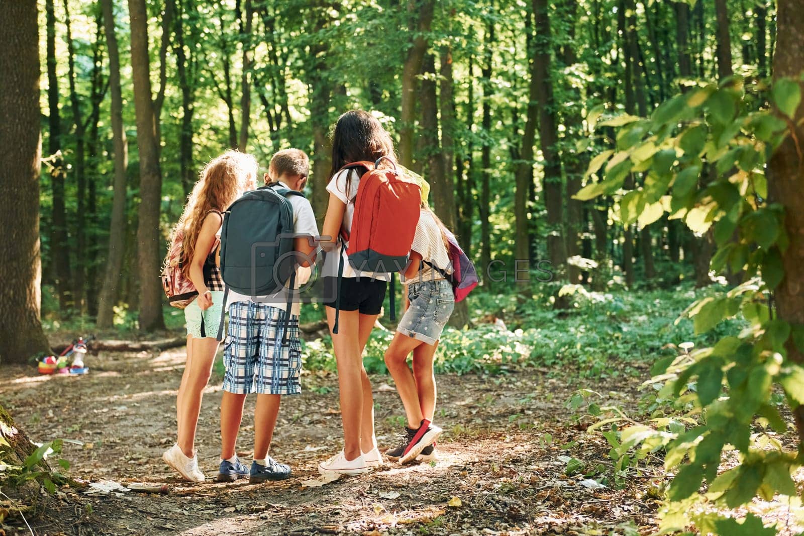 Royalty free image of Kids strolling in the forest with travel equipment by Standret