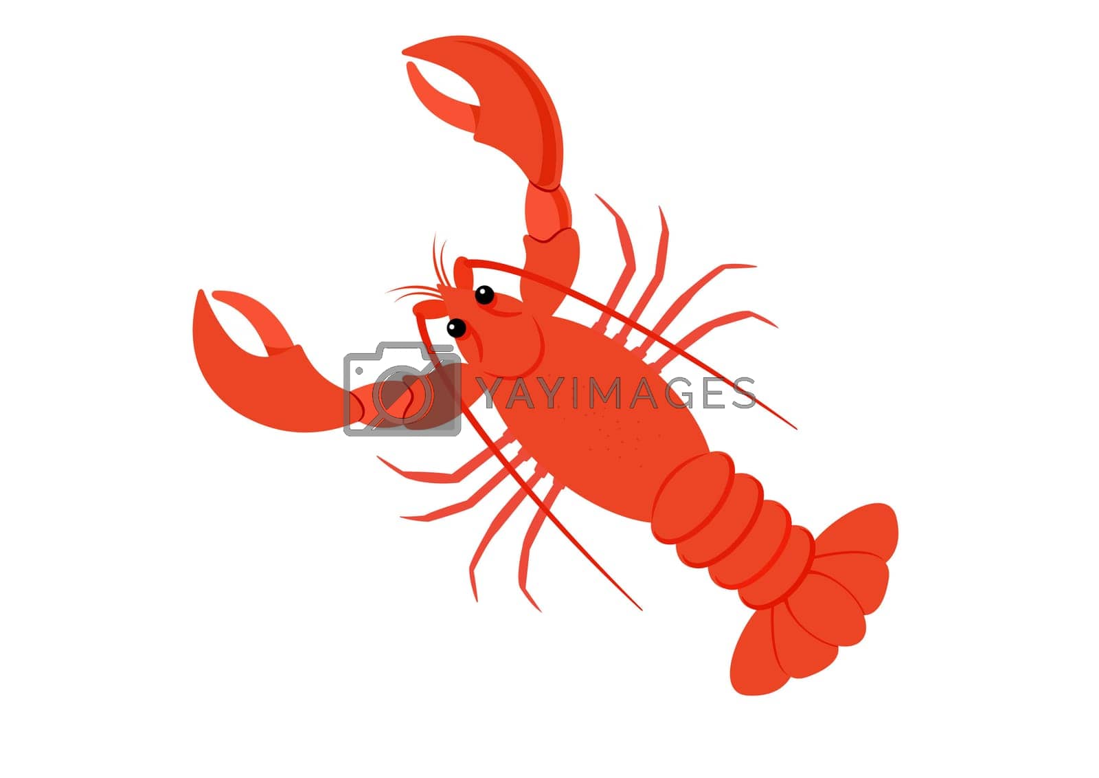 Royalty free image of Cartoon Lobster in flat style. Vector illustration of lobster isolated on white background by mihaigr10
