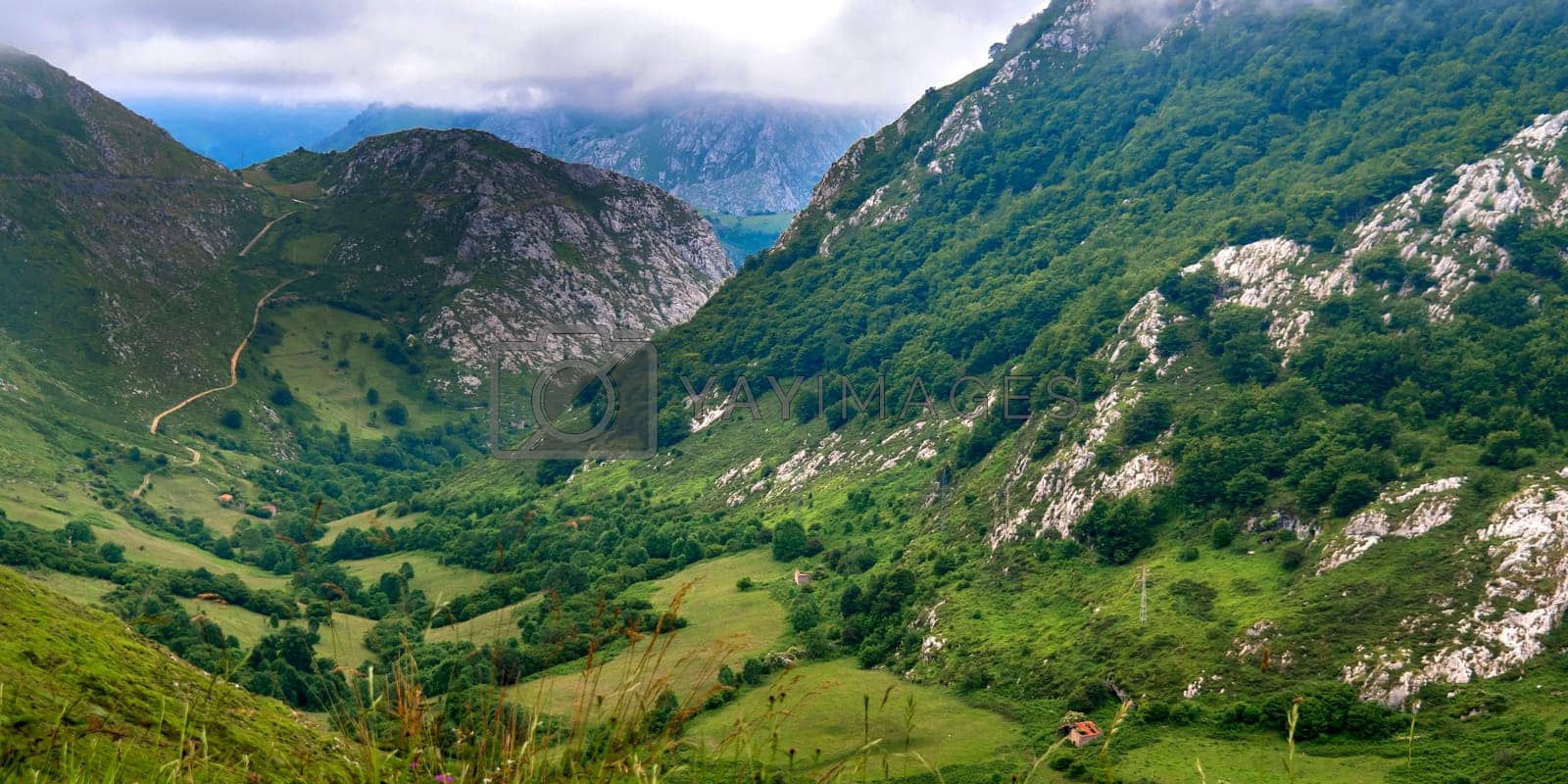 Royalty free image of Peaks of Central Massif, Picos de Europa National Park, Spain by alcaproac
