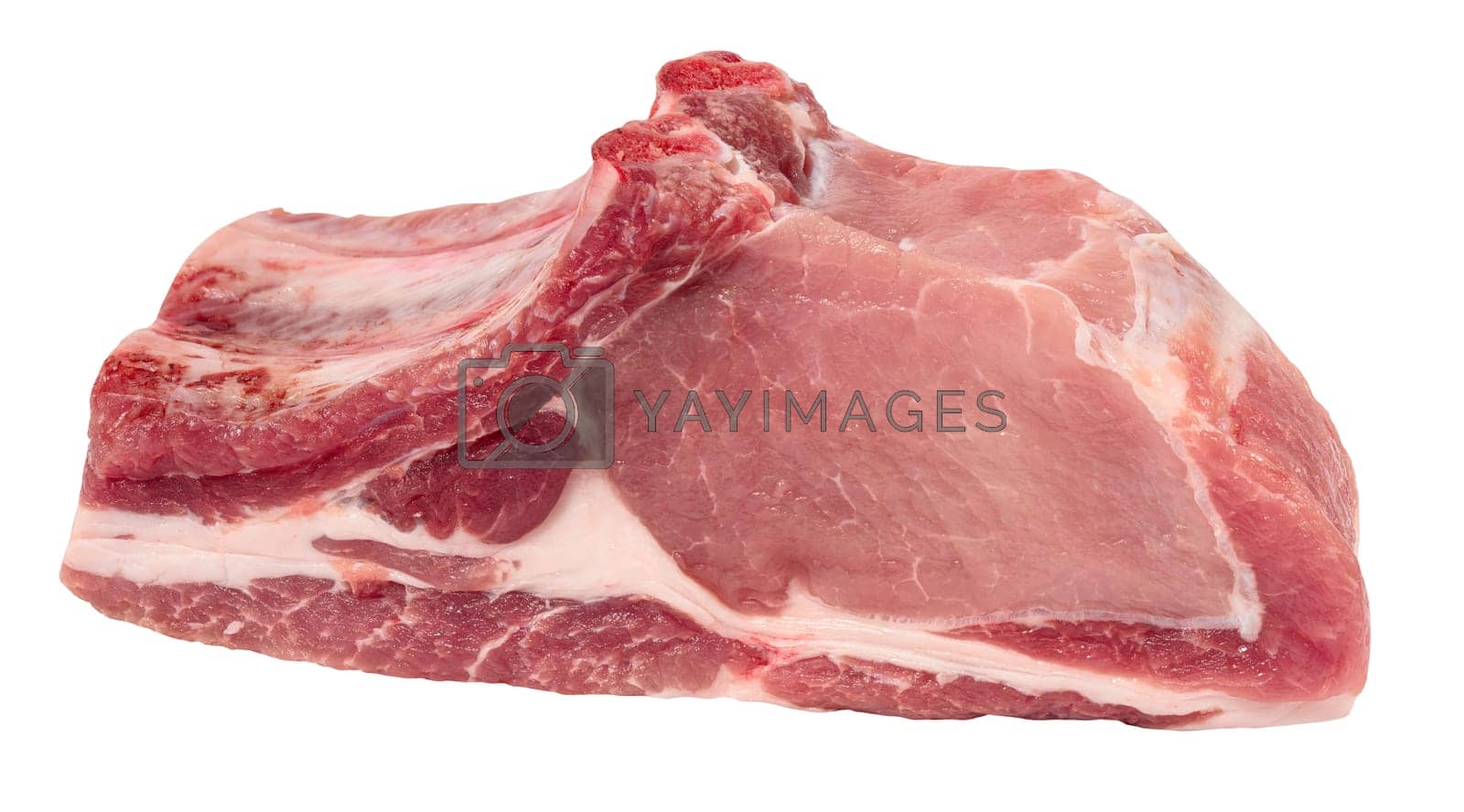 Royalty free image of Raw pork steak on the bone isolated on white background by ndanko