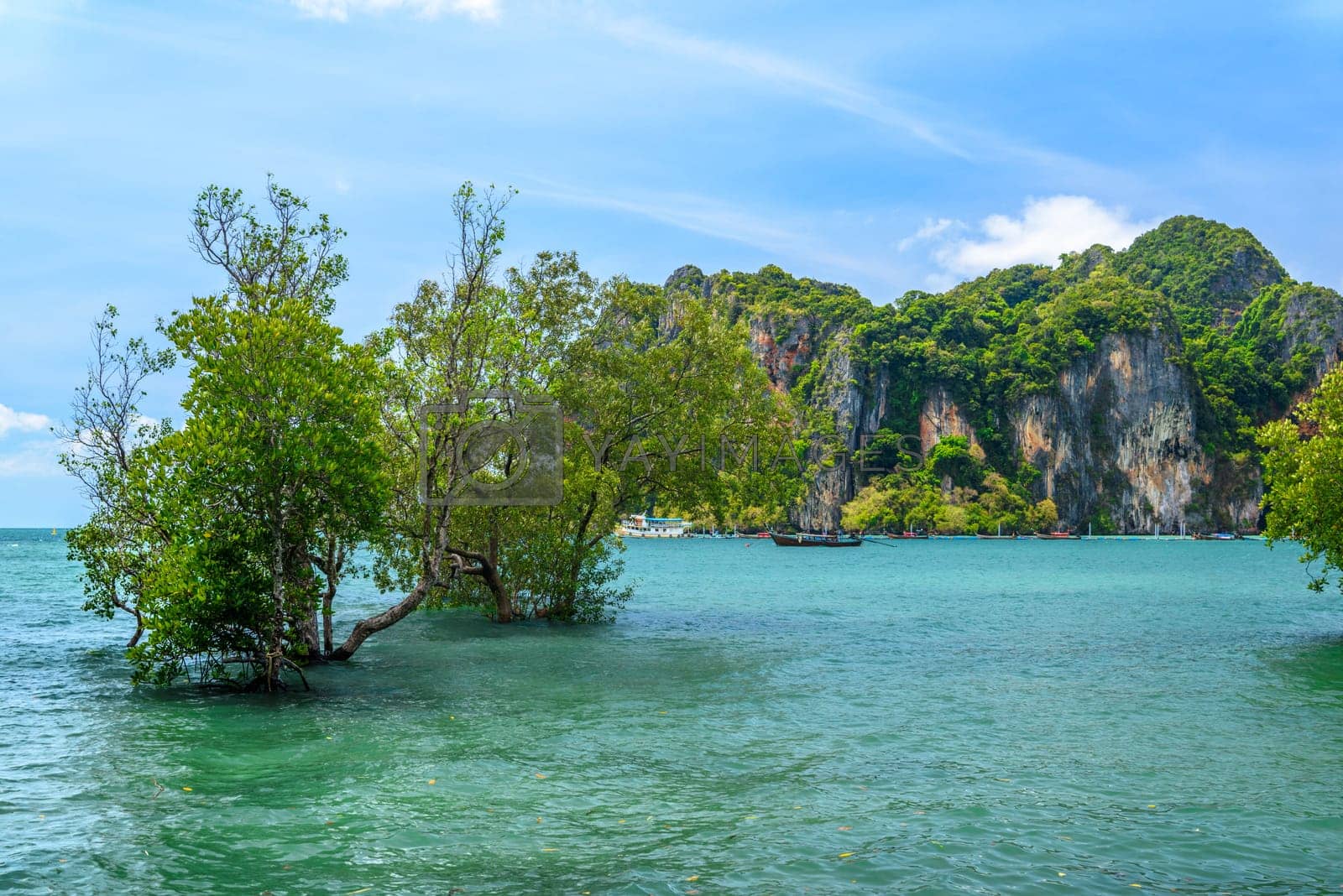 Royalty free image of Tropical trees are growing in azure water with cliffs and rocks in the background, Ao Phra Nang Beach, Railay east Ao Nang, Krabi, Thailand by Eagle2308