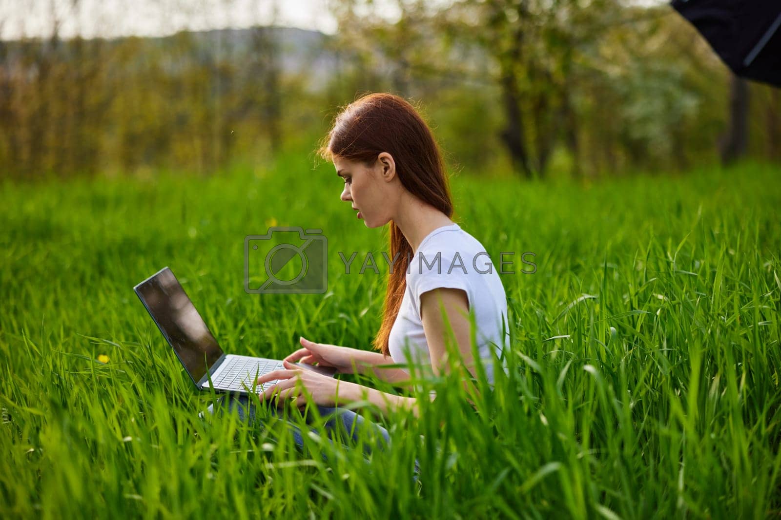 Royalty free image of student with a laptop in the park working by Vichizh