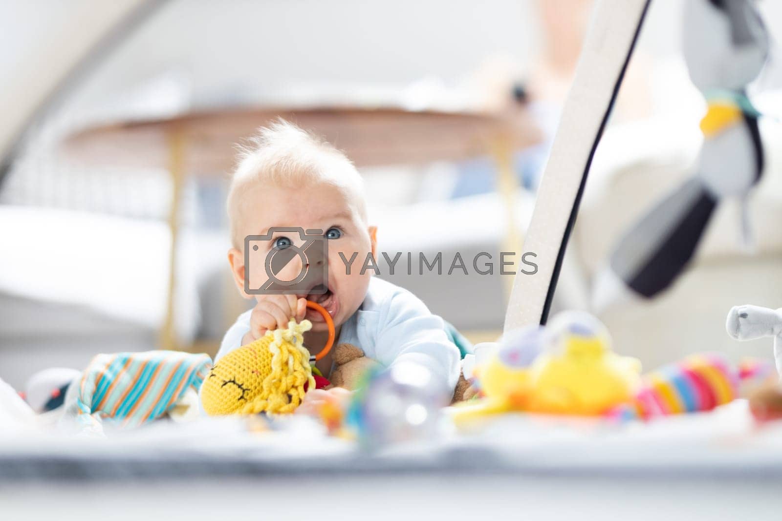 Royalty free image of Cute baby boy playing with hanging toys arch on mat at home Baby activity and play center for early infant development. Baby playing at home by kasto