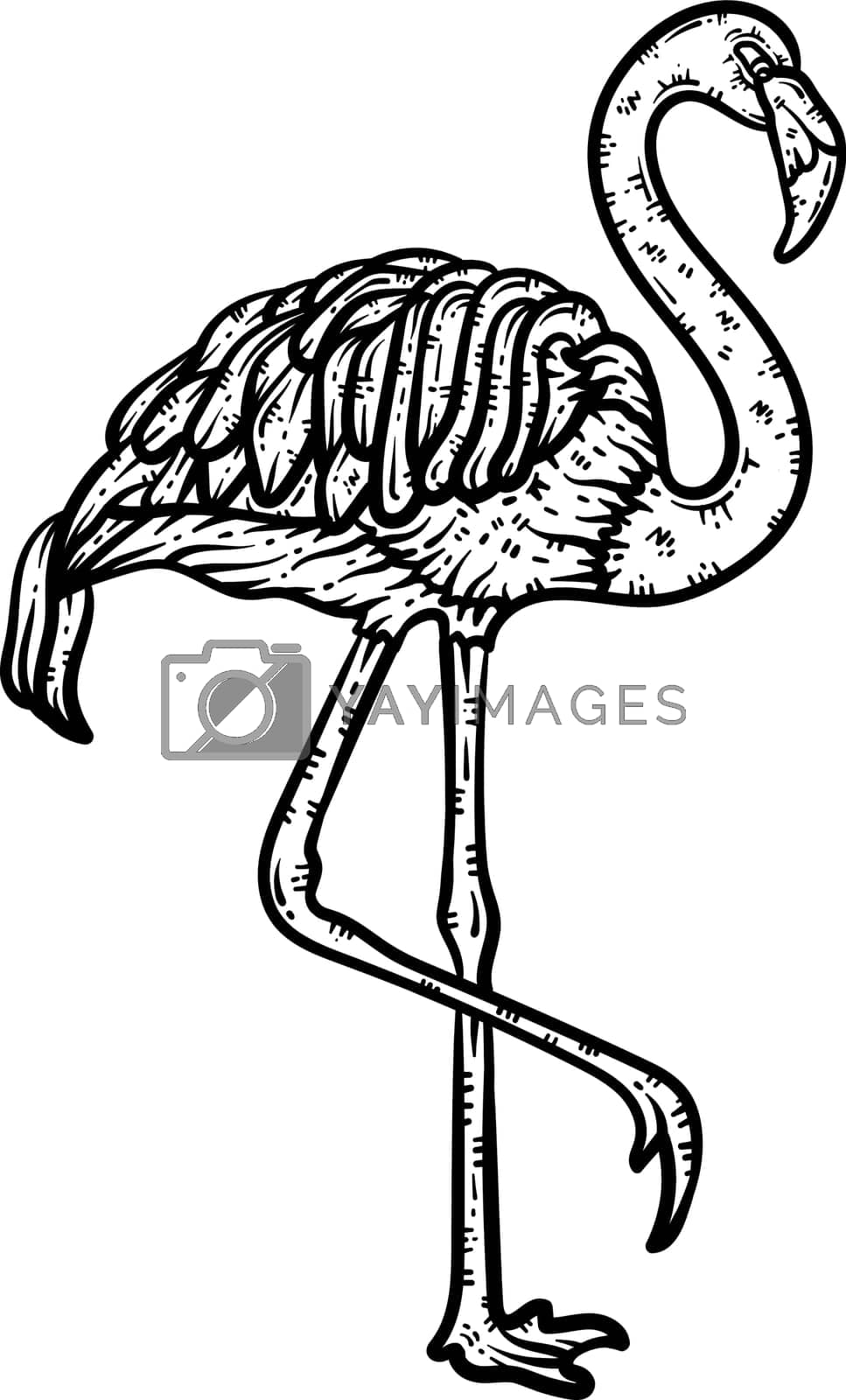 Royalty free image of Flamingo Animal Coloring Page for Adults by abbydesign