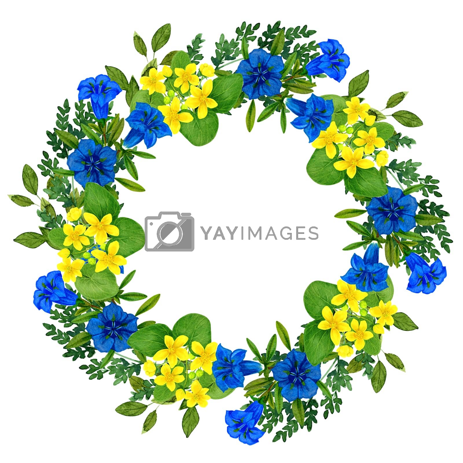 Royalty free image of Wild flowers wreath with caltha gentian and greenery by Julia_Solomatina_Art