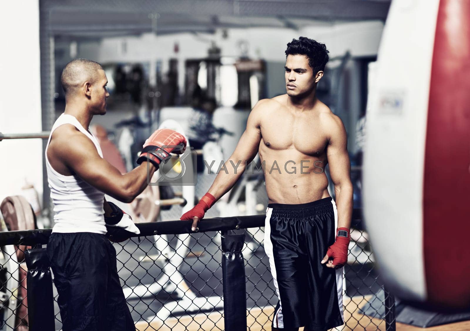 Royalty free image of No hard feelings after sparring. two young boxers talking together in a gym. by YuriArcurs