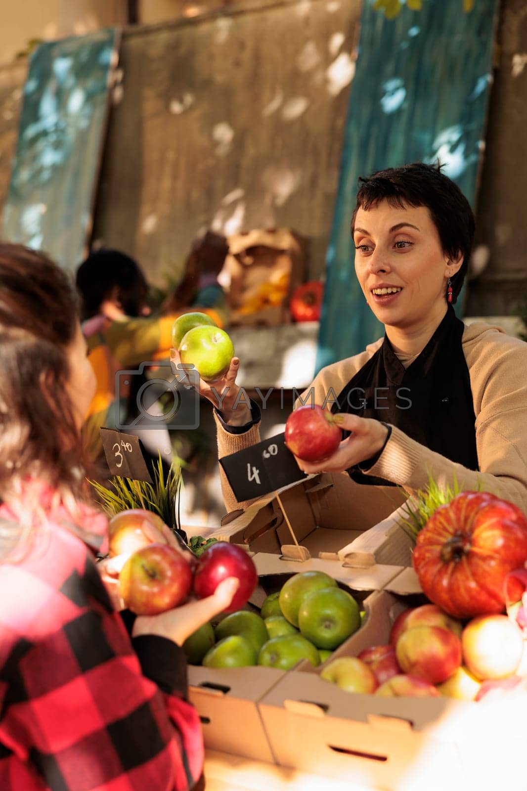Royalty free image of Farmers market vendor talking with customer by DCStudio