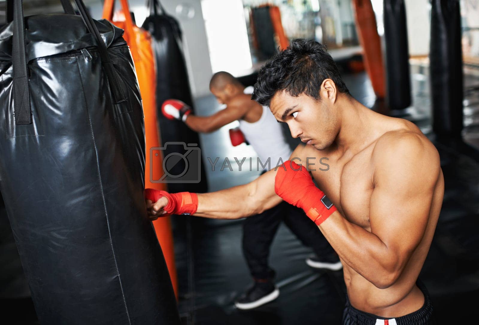 Royalty free image of Hes dedicated to the sport of boxing. young male boxers training on heavy bags. by YuriArcurs