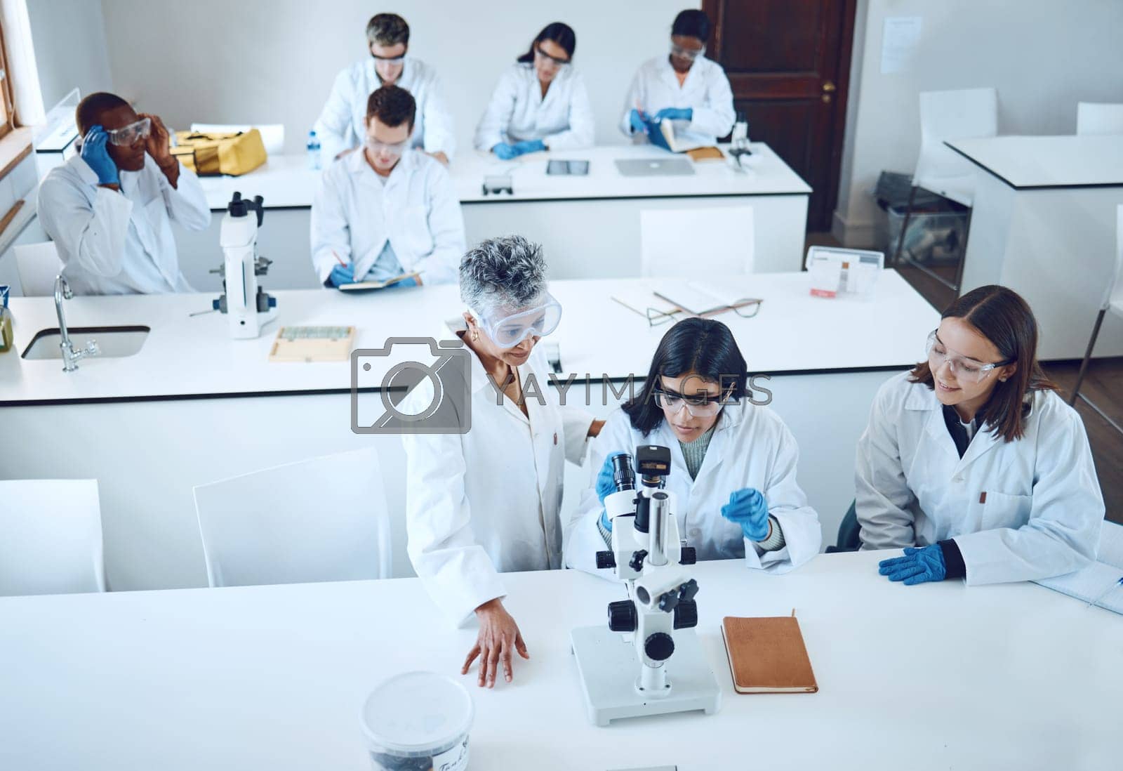 Royalty free image of Science, university students and microscope in scientist lab for learning from mentor for medical education or medicine research in class. Pharmacist and chemistry test for women group for analysis by YuriArcurs
