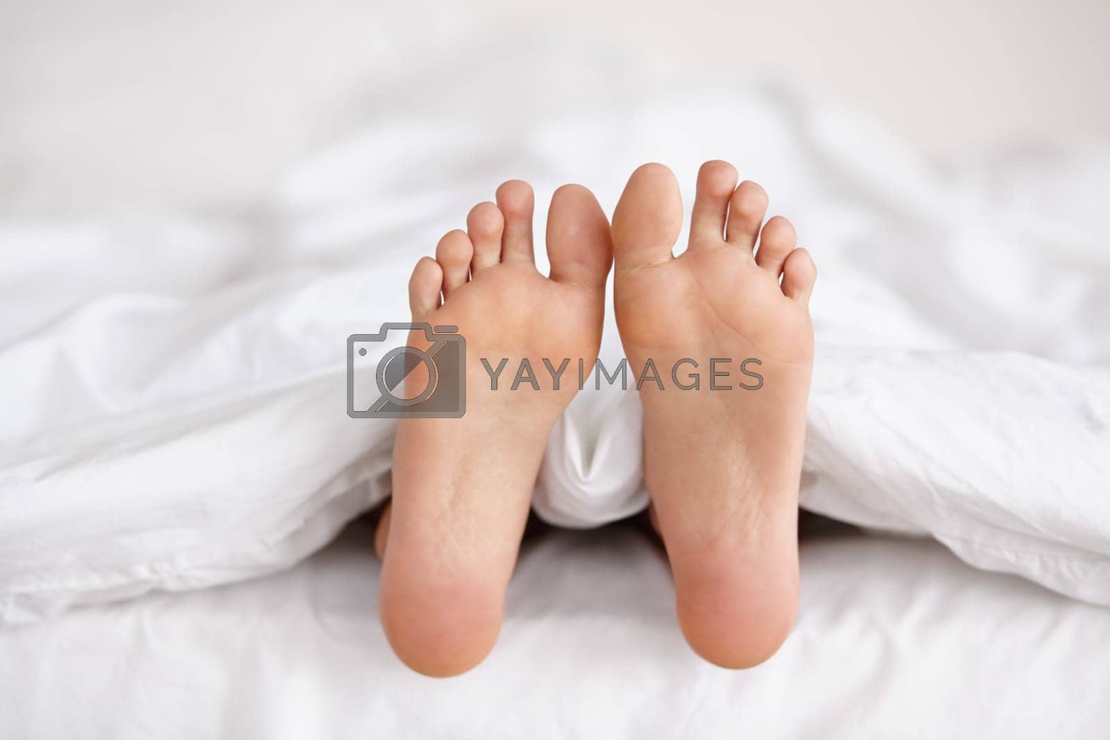 Royalty free image of Wiggling toes of wakefulness. a pair of womans feet poking out from under the sheets of a bed. by YuriArcurs