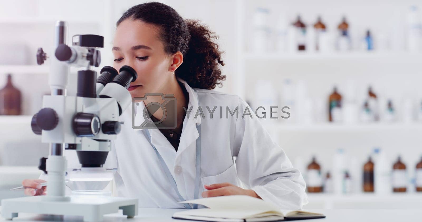 Royalty free image of Research, microscope and woman scientist writing for science, medicine and data analysis in a lab. Laboratory, healthcare and female health expert with book for medical, results and sample checklist by YuriArcurs