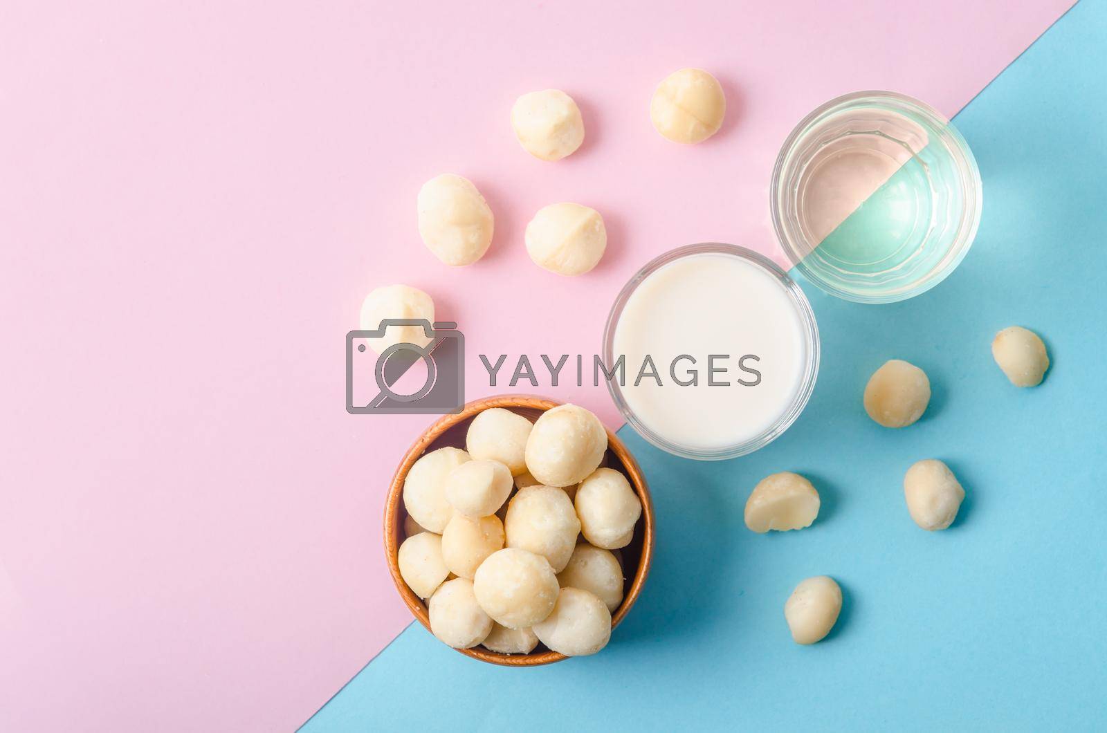 Royalty free image of Macadamia milk in a glass and a bowl of macadamia nuts with oil. by Gamjai