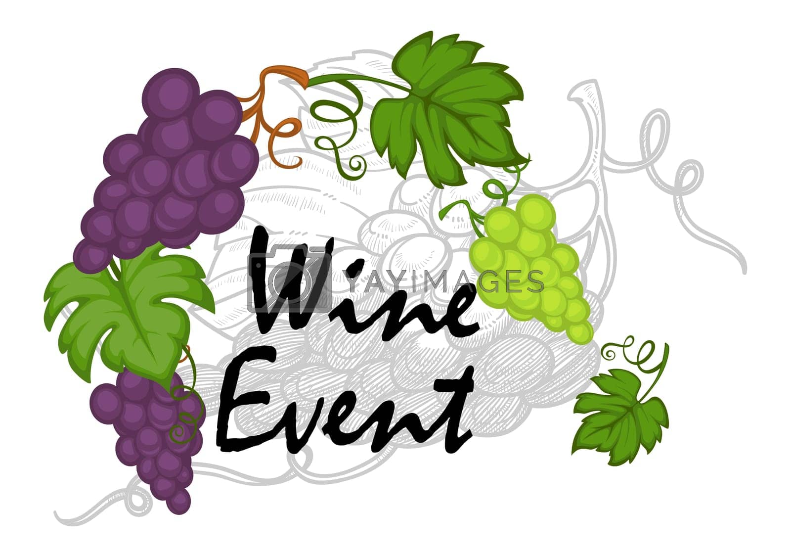 Royalty free image of Wine event, fermenting or tasting of beverages by Sonulkaster