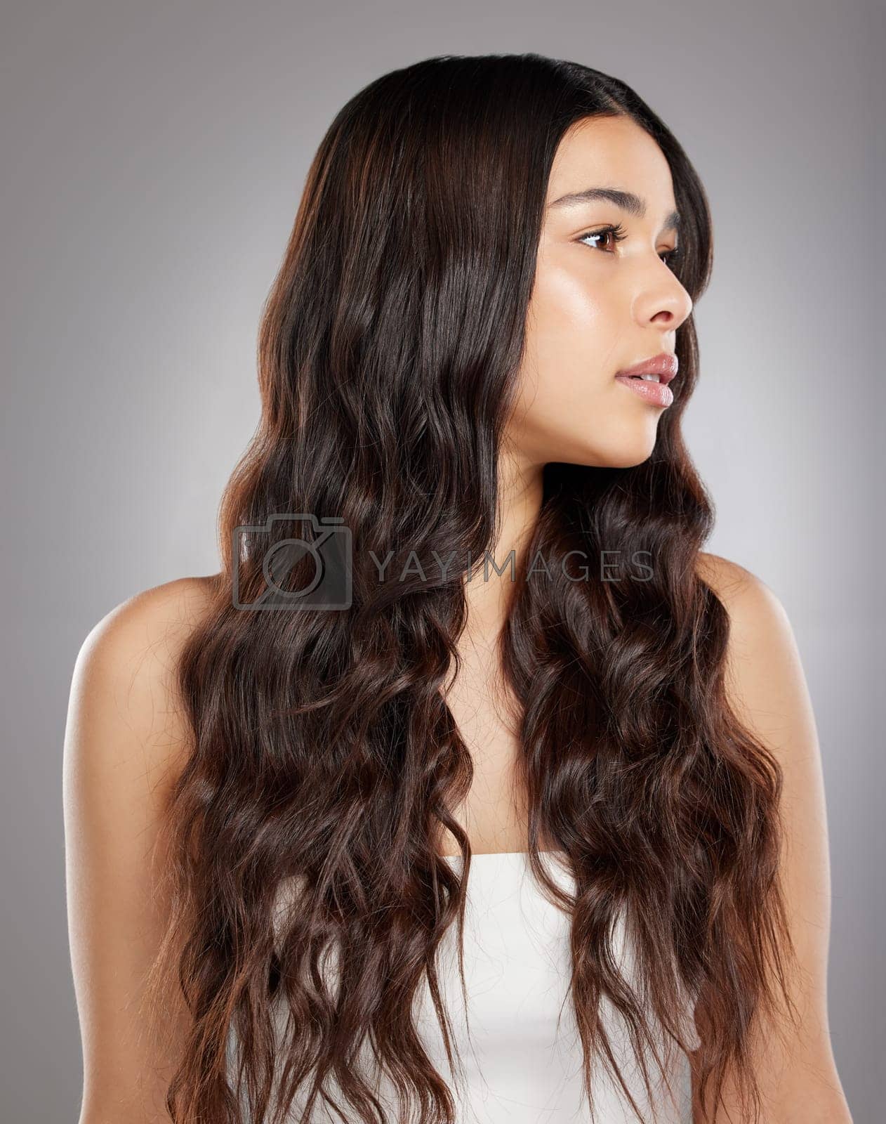 Royalty free image of Woman with hair, beauty with balayage and curly hairstyle with haircare and keratin treatment on studio background. Female person with shine and texture, growth and grooming with glamour and glossy by YuriArcurs