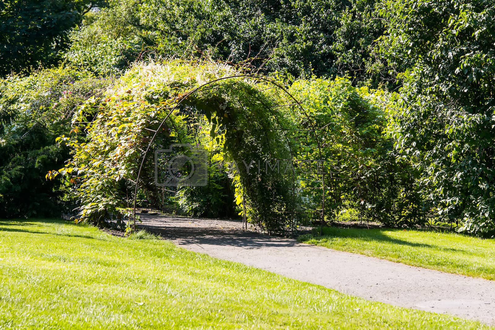 Royalty free image of Arc passage in garden by Nanisimova