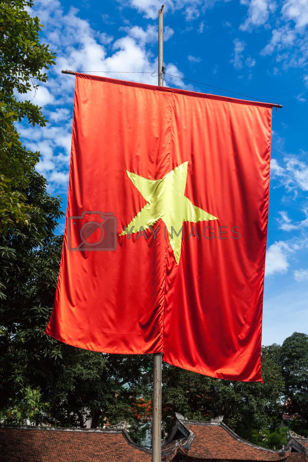Royalty free image of Vietnamese flag by dimol