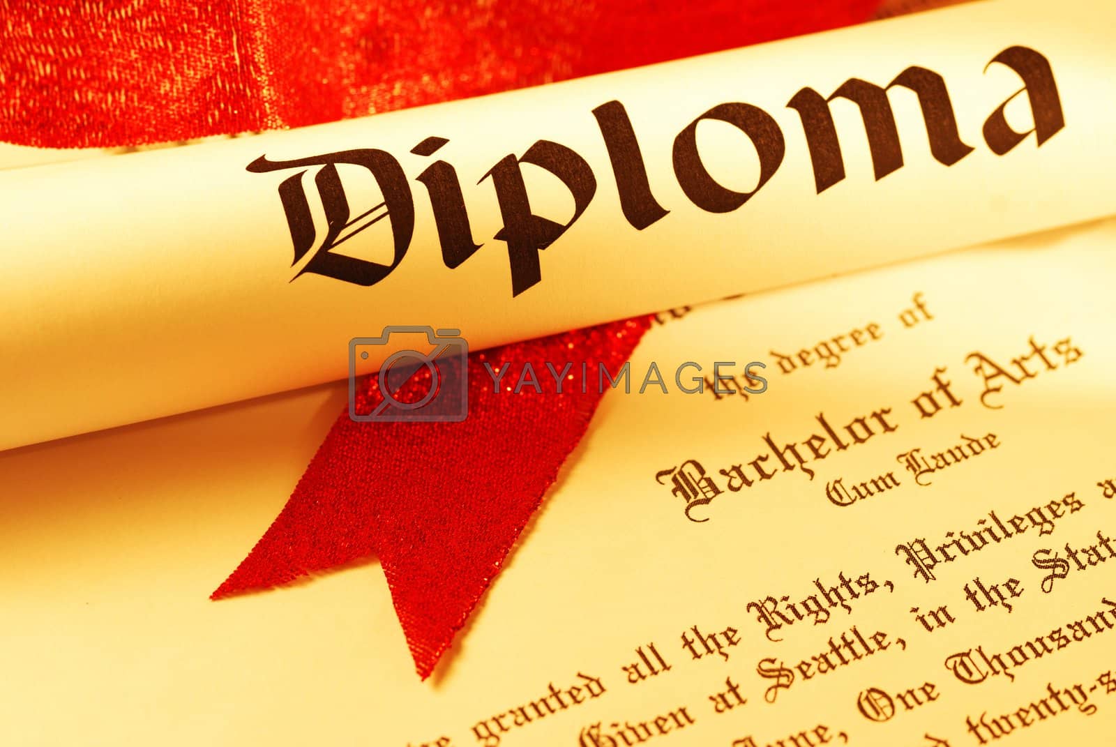 Royalty free image of Diploma by haveseen