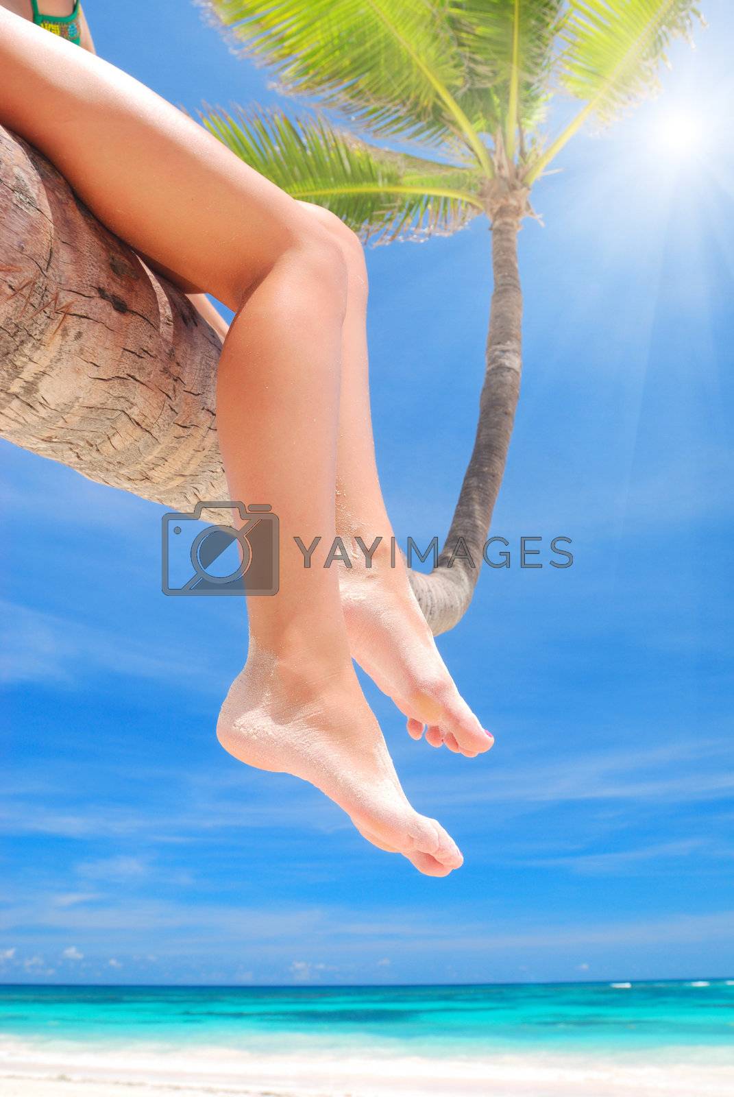 Royalty free image of Relax on palm by haveseen