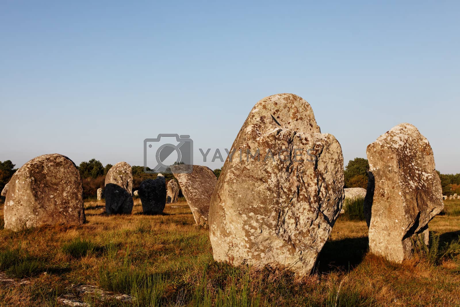 Royalty free image of Megalithic Monuments in Carnac by RazvanPhotography