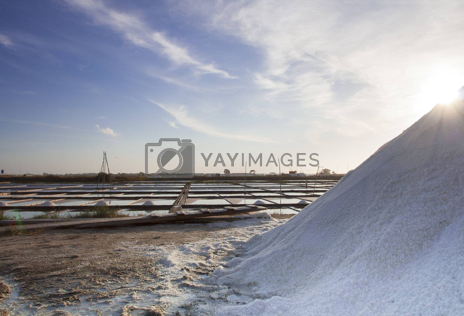 Royalty free image of Salt industry by PauloResende