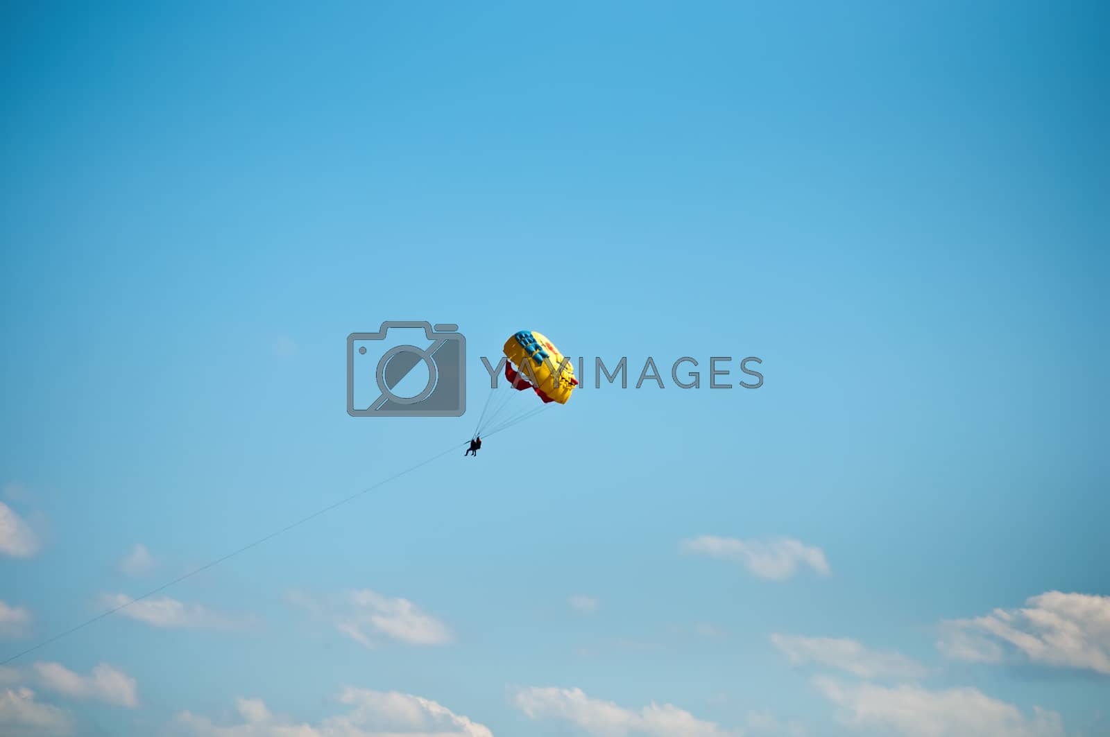 Royalty free image of Parasailing in summer . by LarisaP