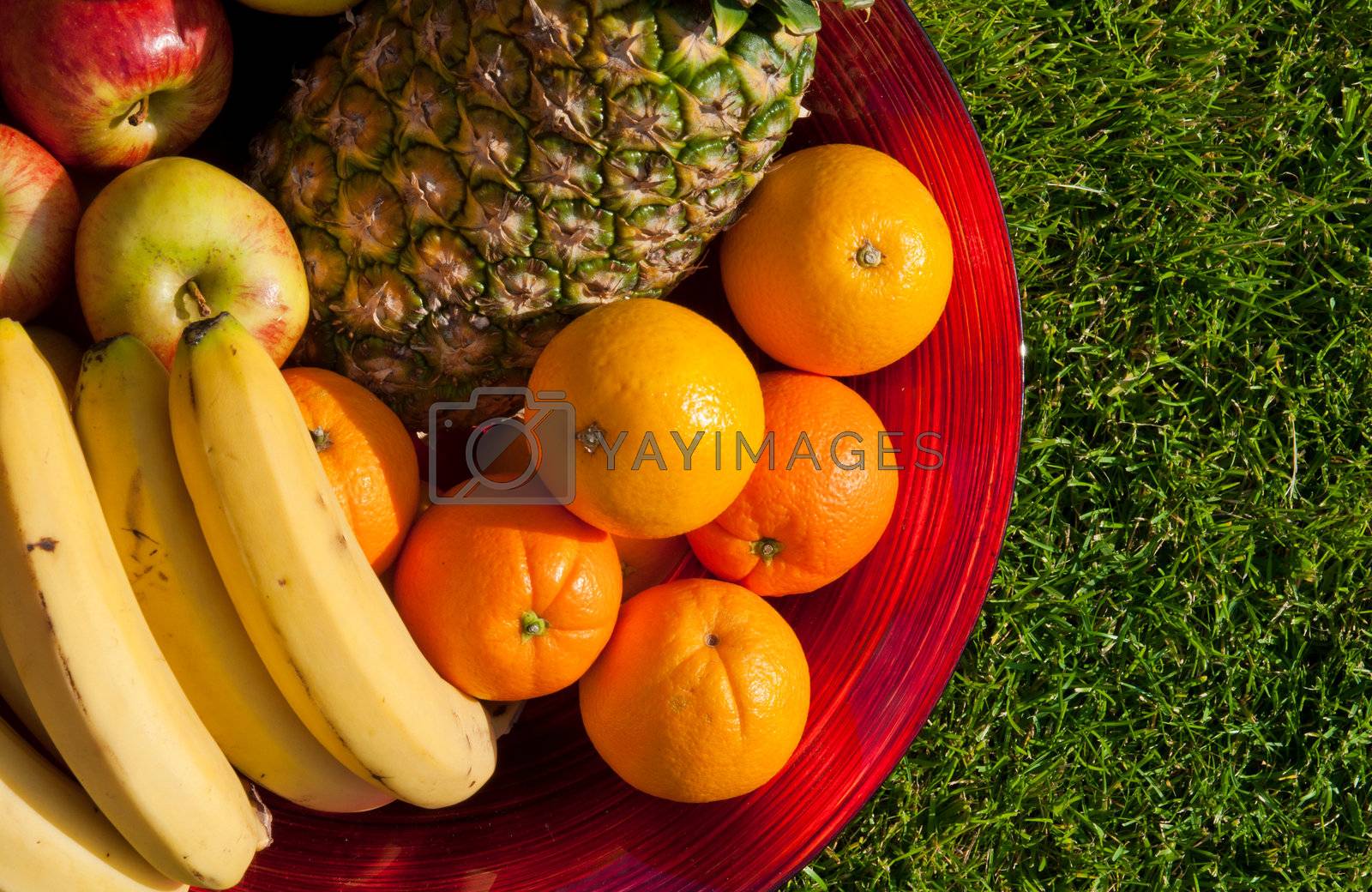 Royalty free image of Fruit bowl by luissantos84