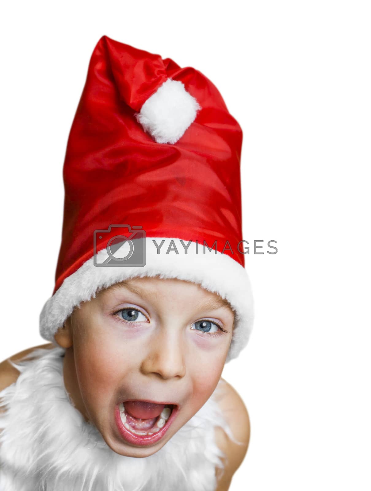 Royalty free image of Santa Claus by anelina