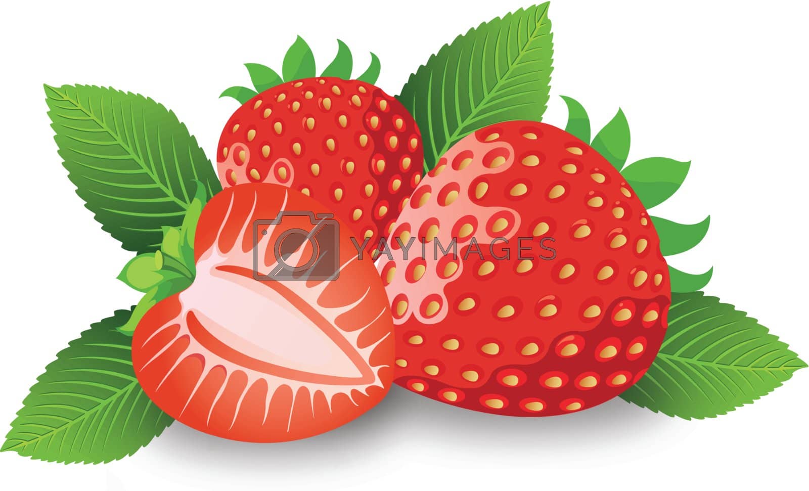 Royalty free image of Strawberry, illustration by Morphart
