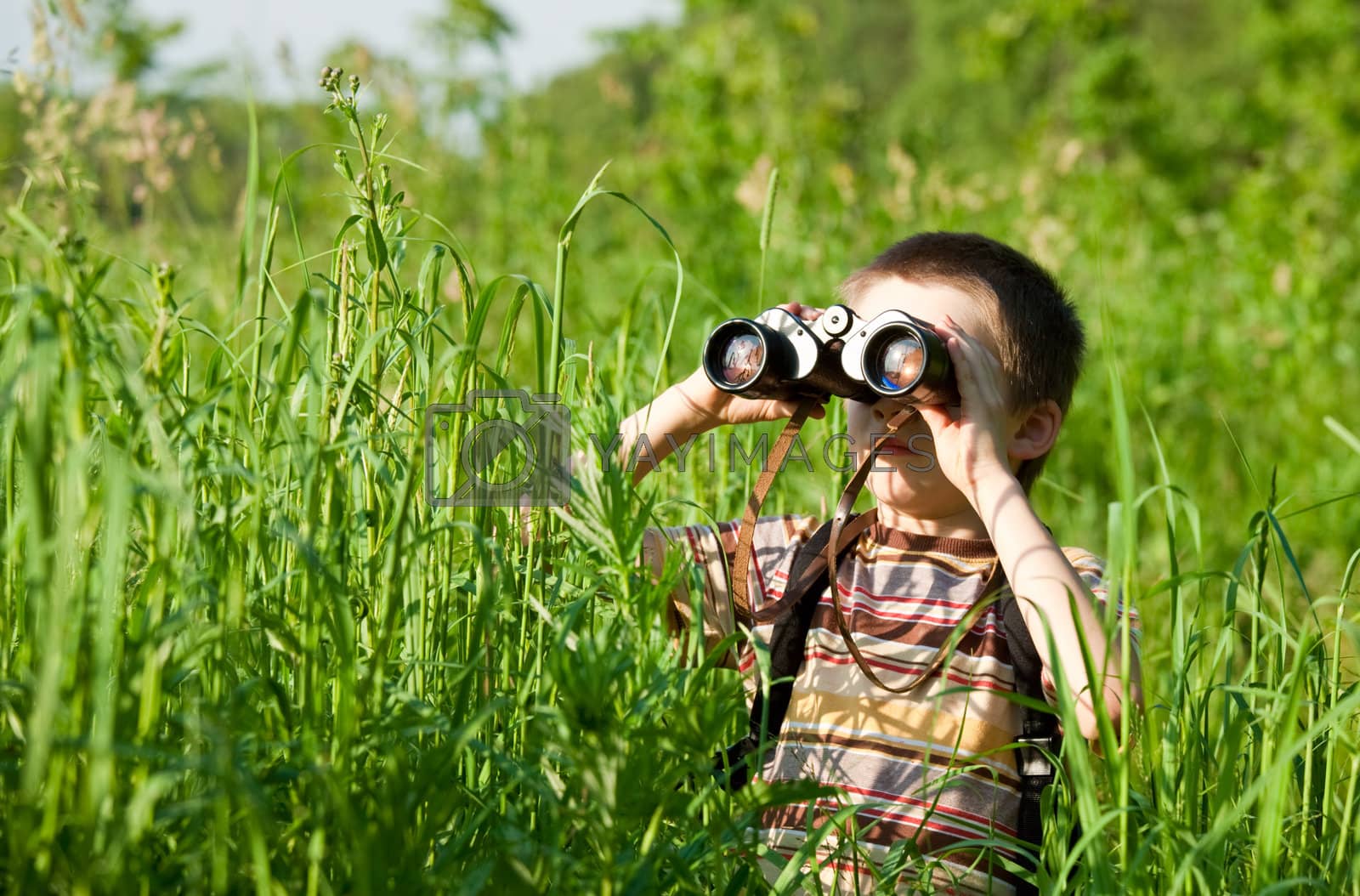Royalty free image of Kid with binocular by naumoid