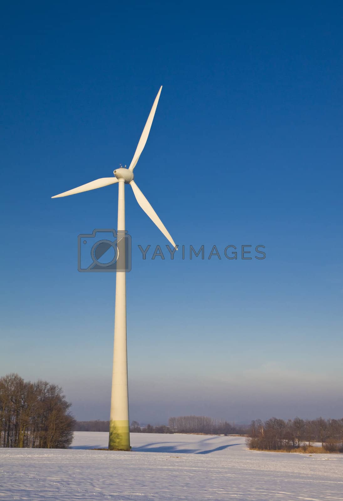 Royalty free image of Windmill in winter by Gbuglok
