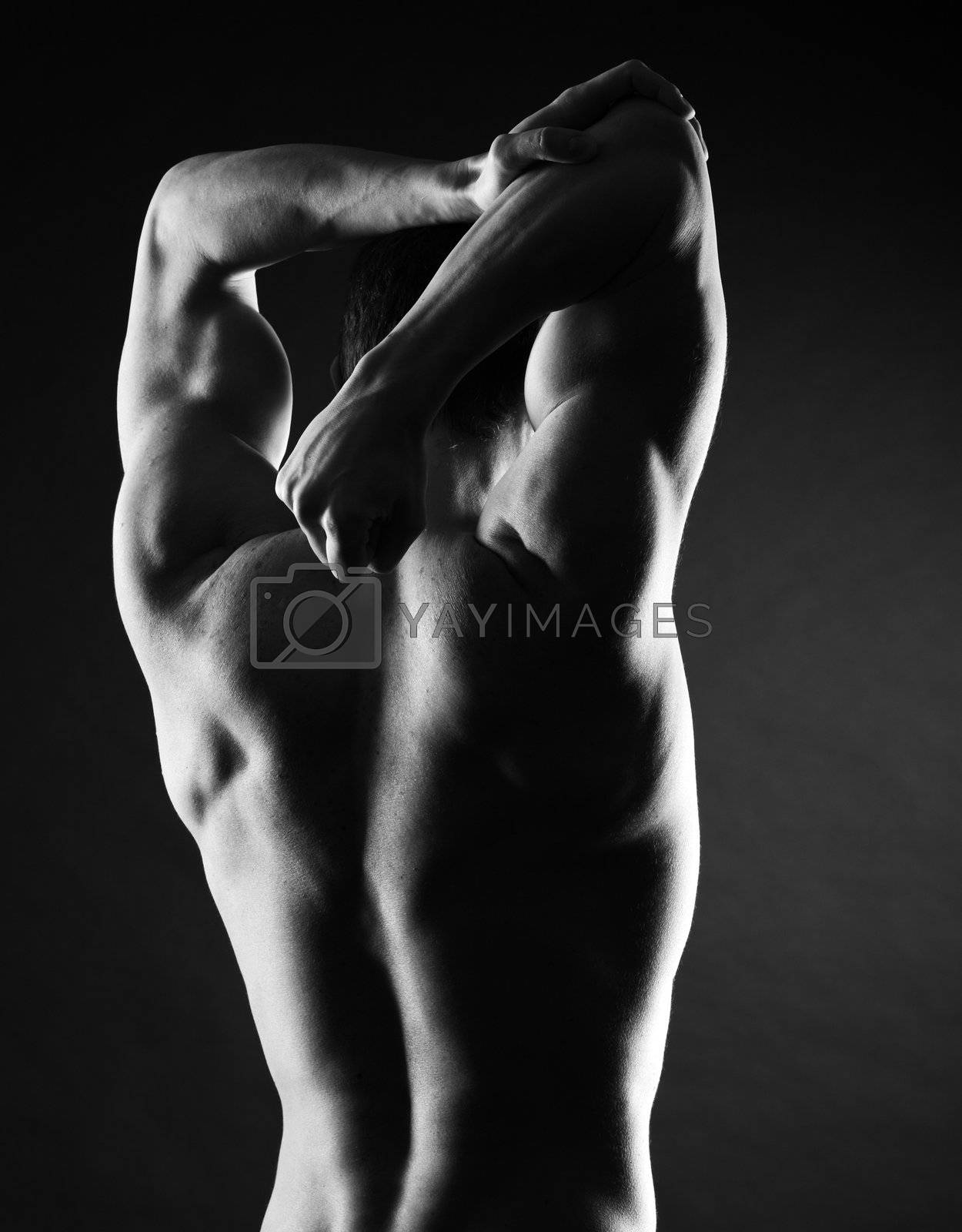 Royalty free image of Strong body by stokkete