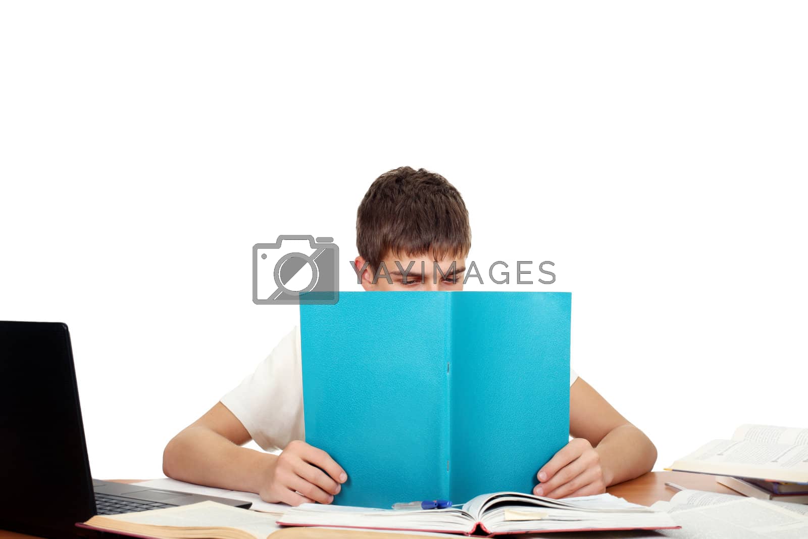 Royalty free image of Student With Workbook by sabphoto
