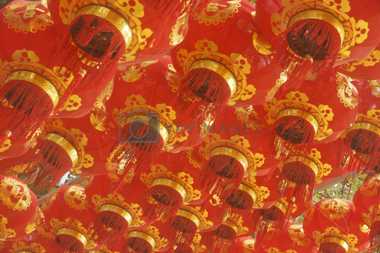 Royalty free image of Chinese New Year red lanterns hanging high above by xfdly5