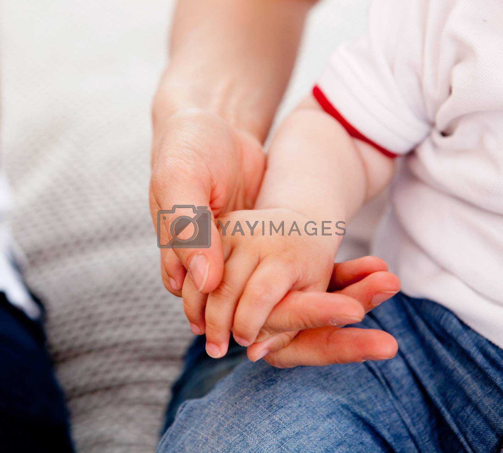 Royalty free image of Mother and Son hands by leaf