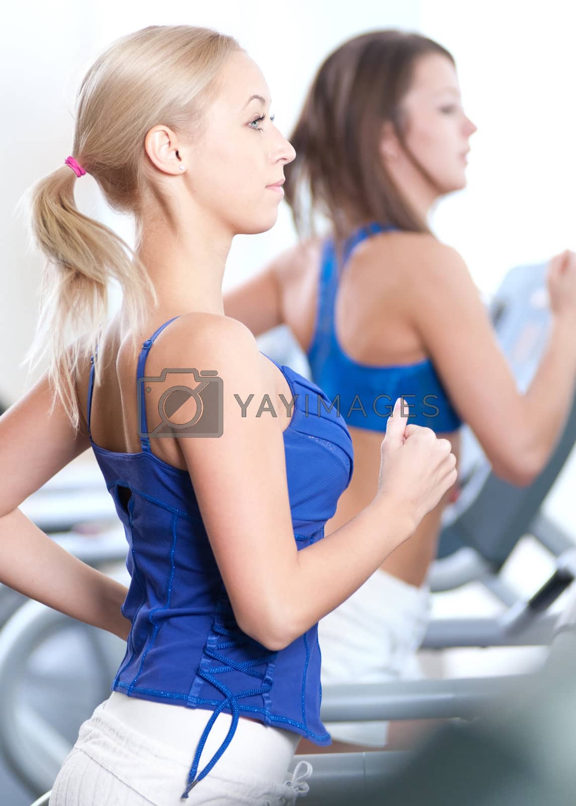 Royalty free image of Two young women run on machine in the gym by markin
