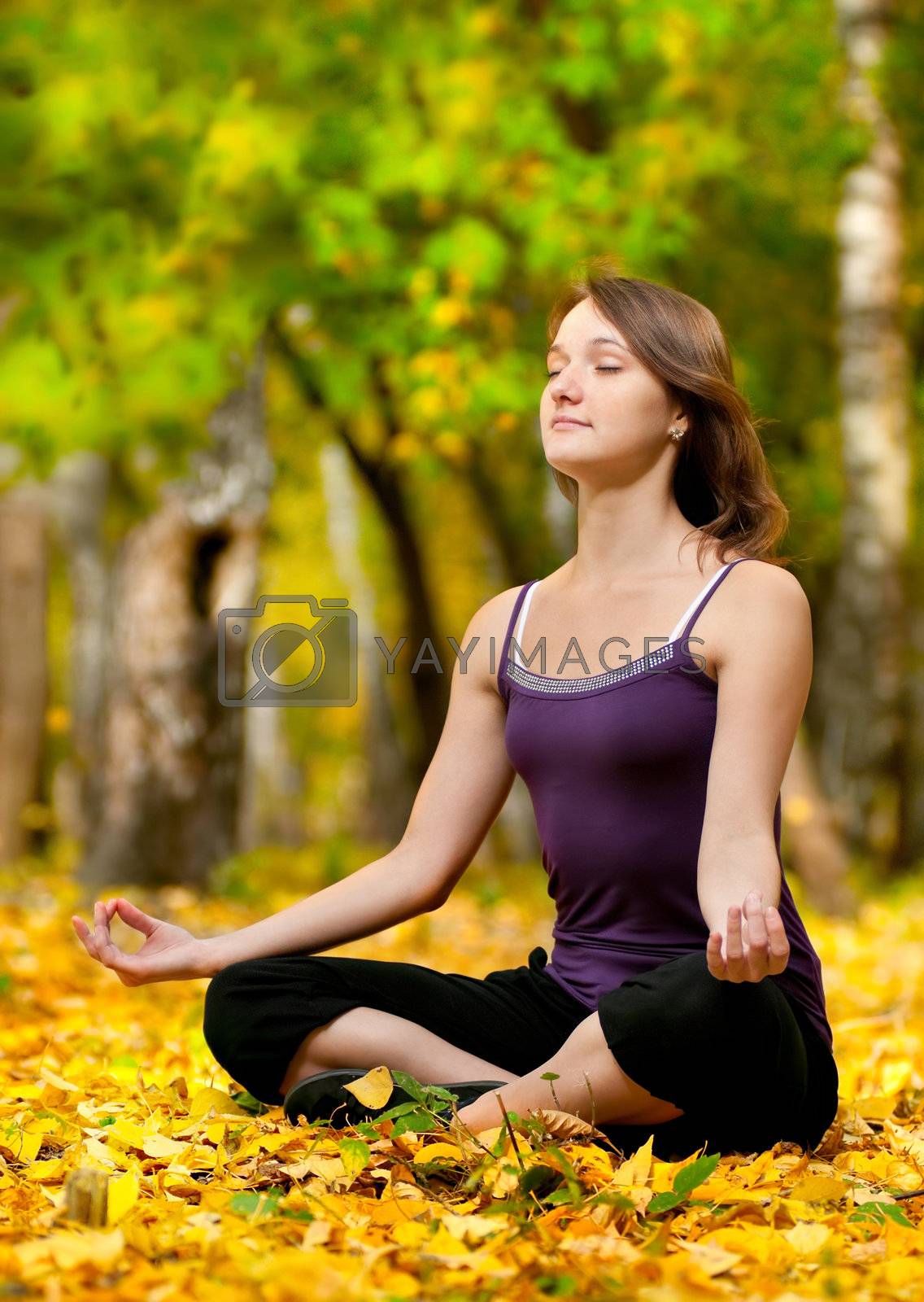 Royalty free image of Woman doing yoga exercises in the autumn park by markin