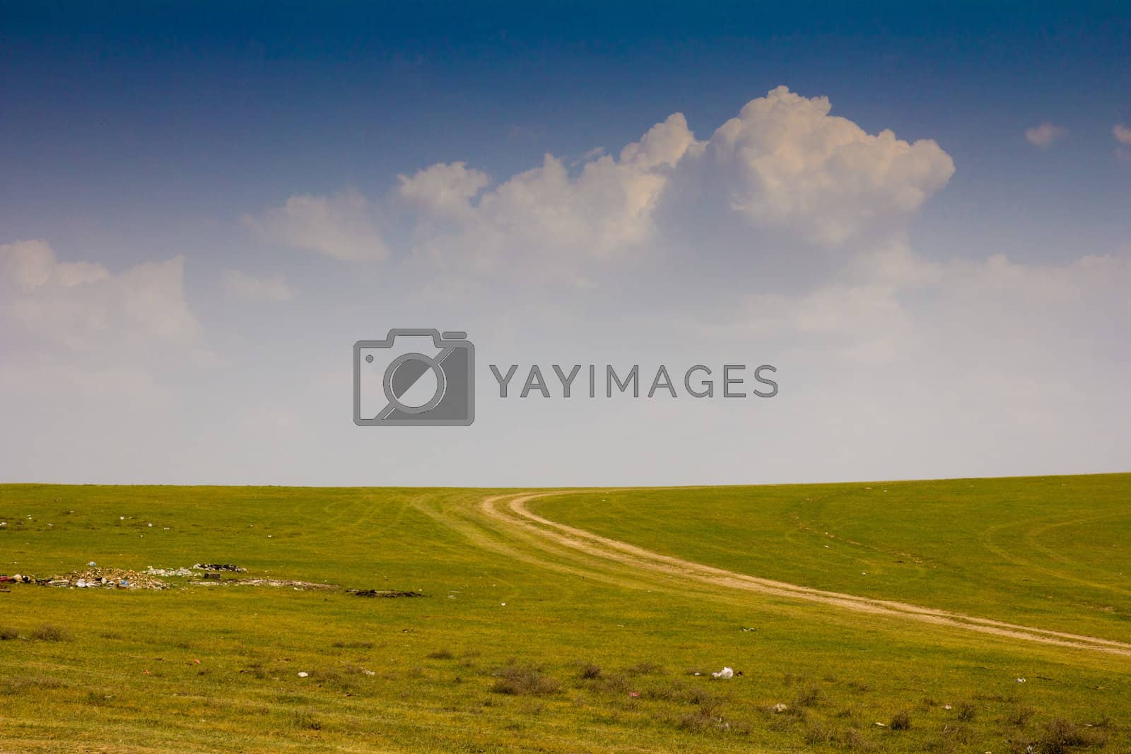 Royalty free image of green field with a road by schankz