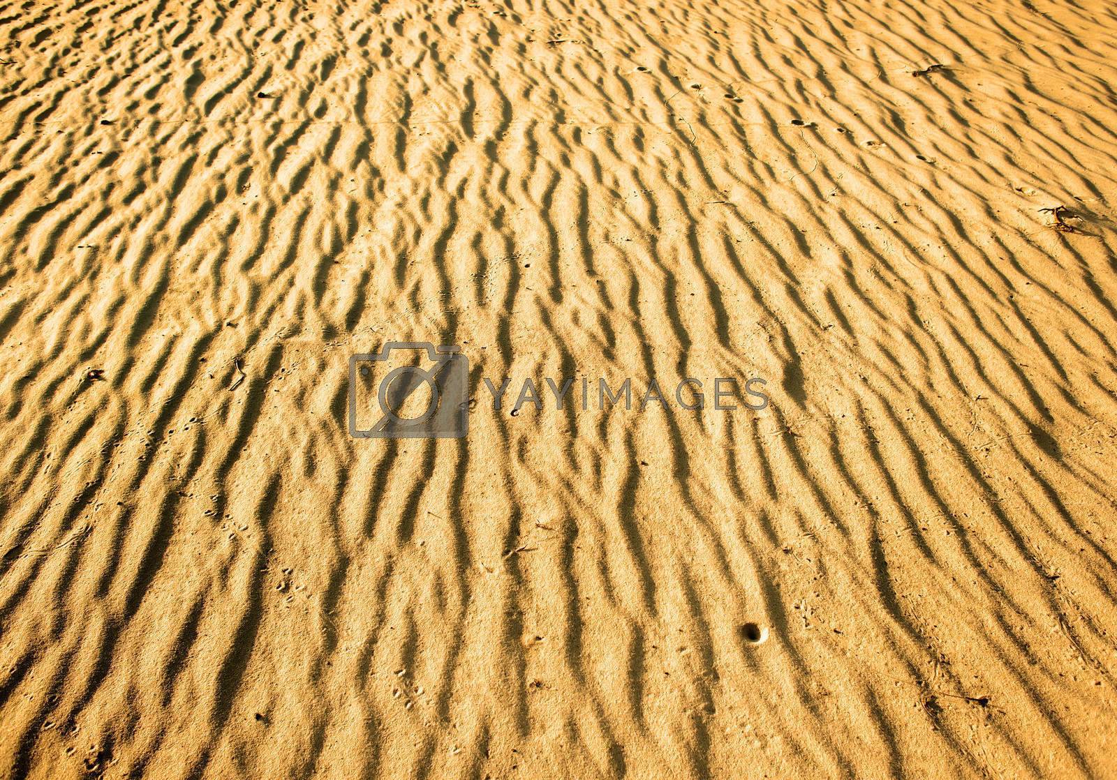 Yellow sand in desert. Texture of desert